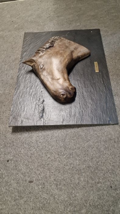 Quadro Cabeça de cavalo