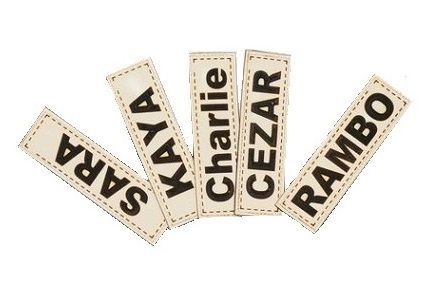 Legowisko Dla Psa 100X75 Cm Personalizowane Wodoodporne Szare