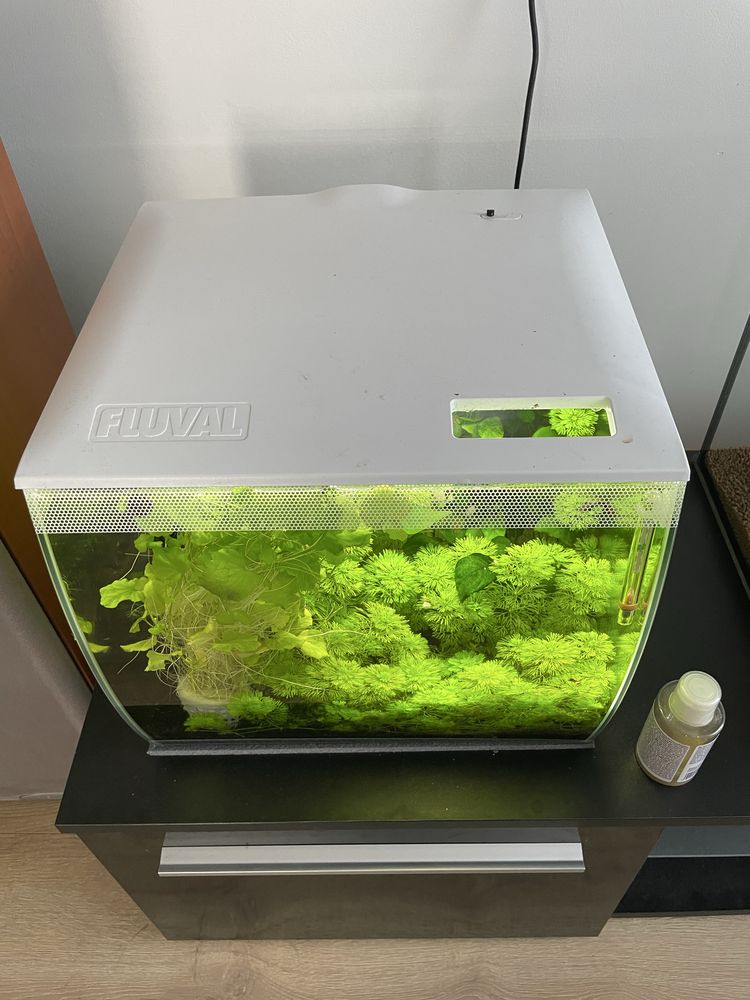 Fluval Flex 34L krewetkraium