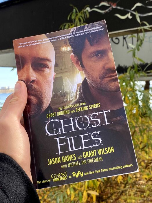 Книга Ghost Files