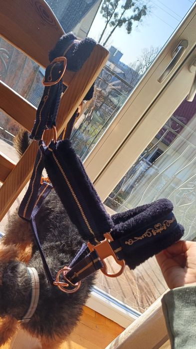 Kantar HKM rozmiar pony