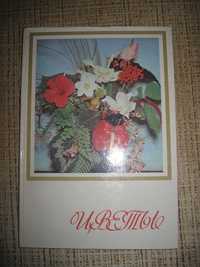 Книга "Цветы", 1981, иллюстр. справочно-энциклопедическое издание