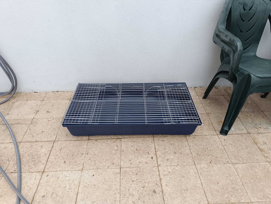 Gaiola coelho / porco da Índia grande