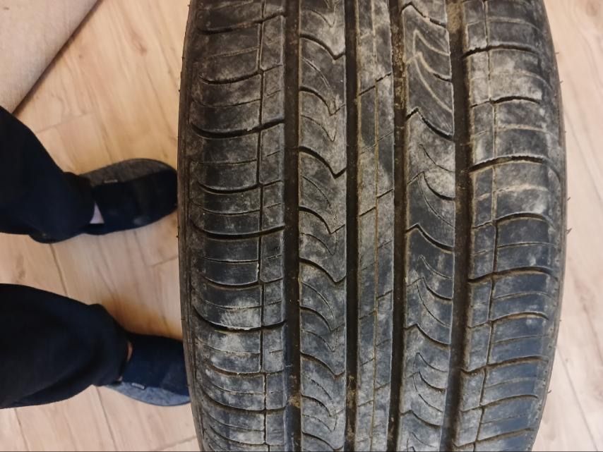 Літня гума Roadstone CP672 205/55 r16