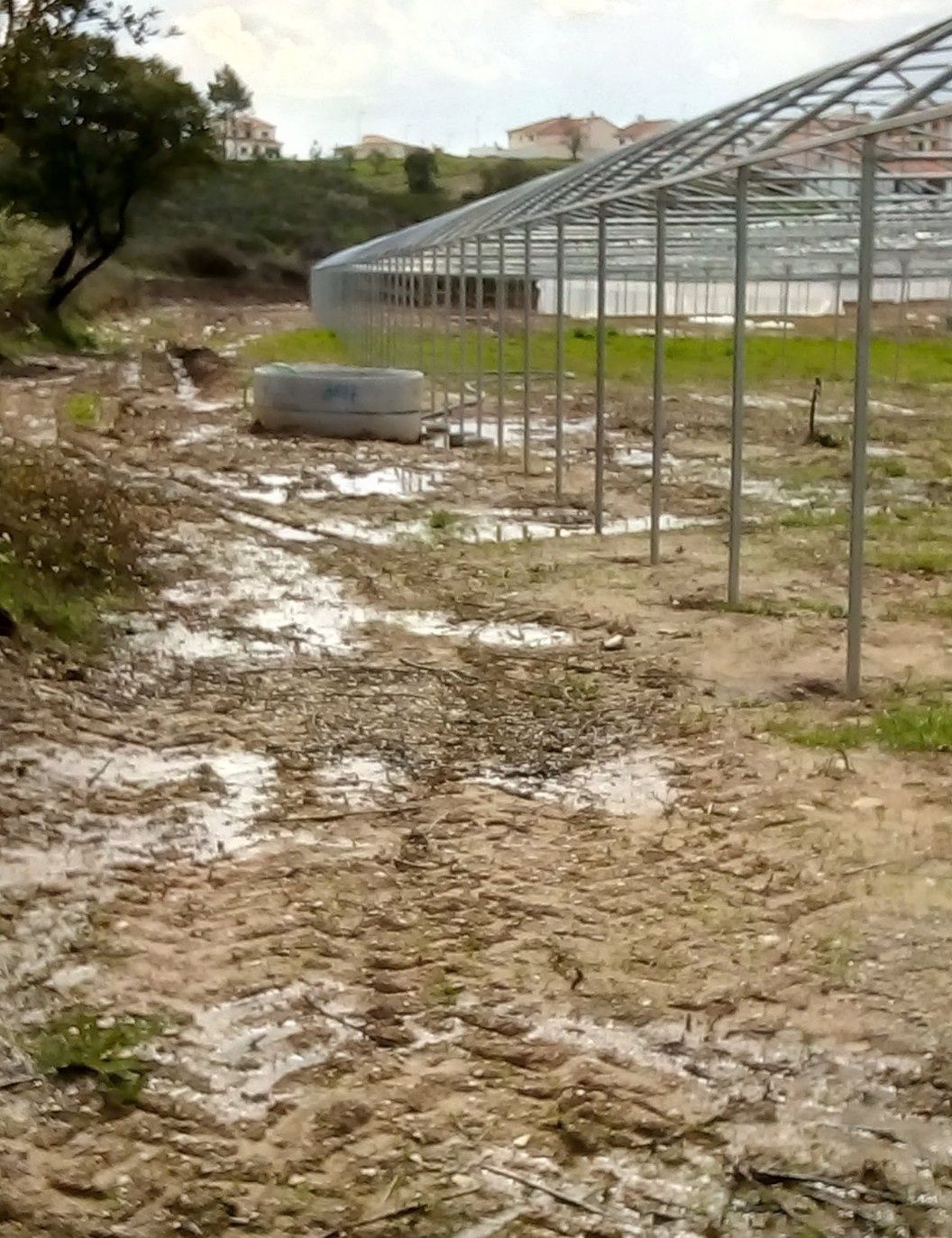 Estufas agrícolas