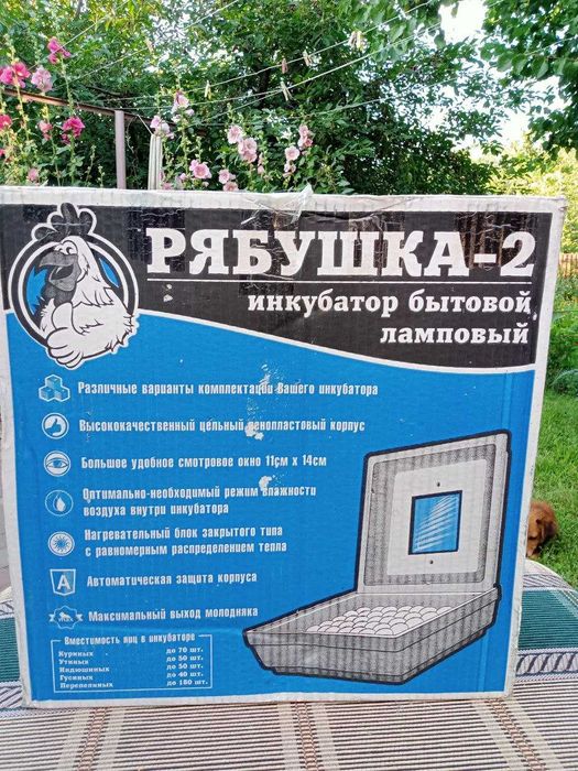 Інкубатор битовий для яєць Рябушка-2