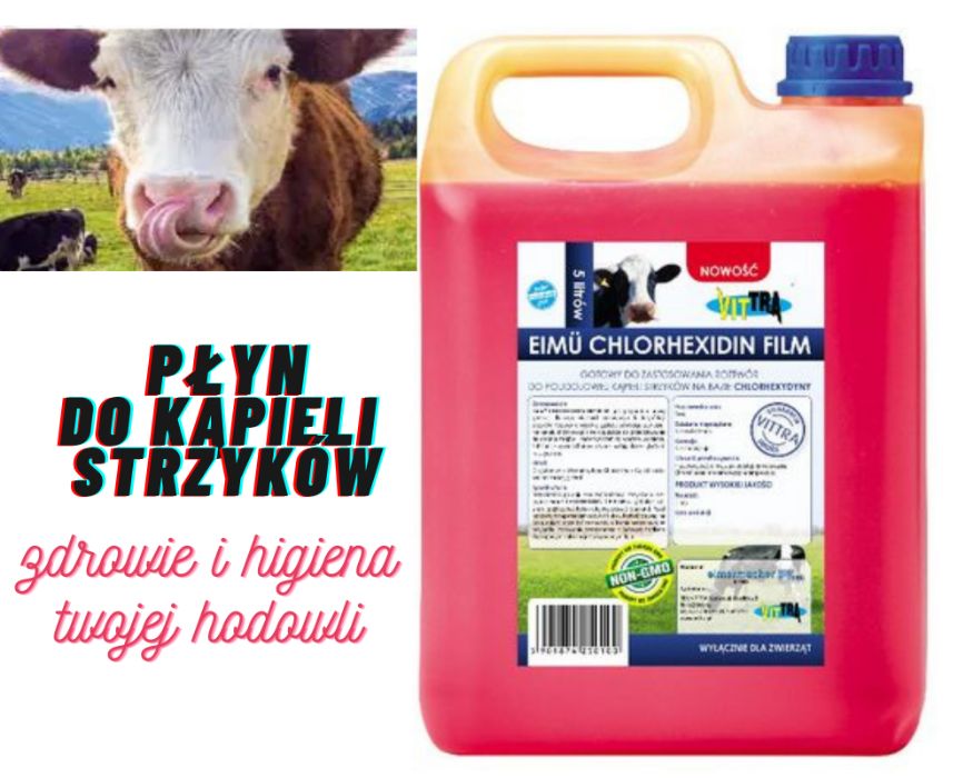 Płyn odkażający do poudojowej kąpieli strzyków 5l