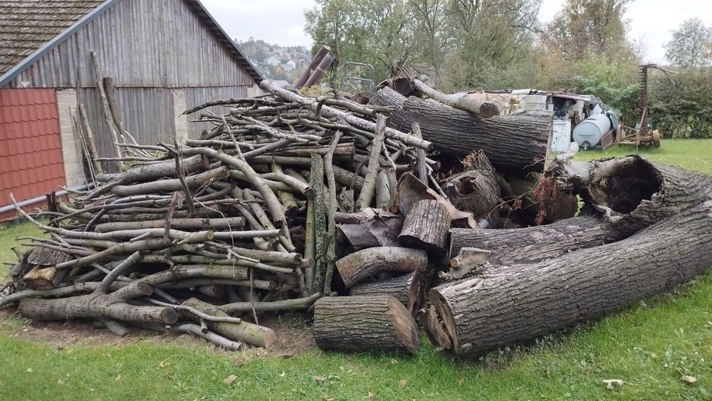 Drzewo lipowe na opał