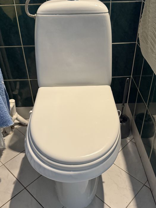 Muszla klozetowa, wc