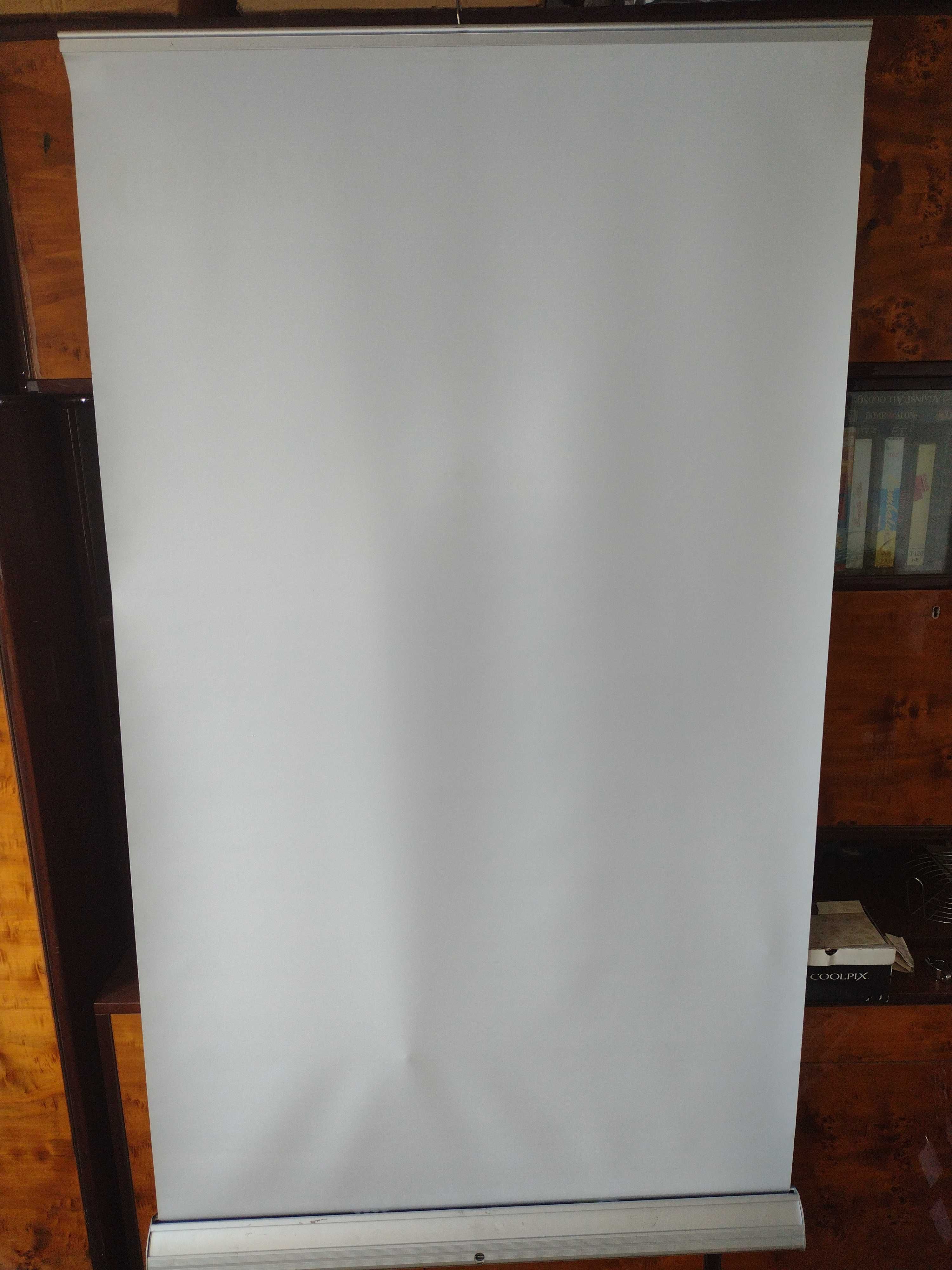 Ekran projekcyjny