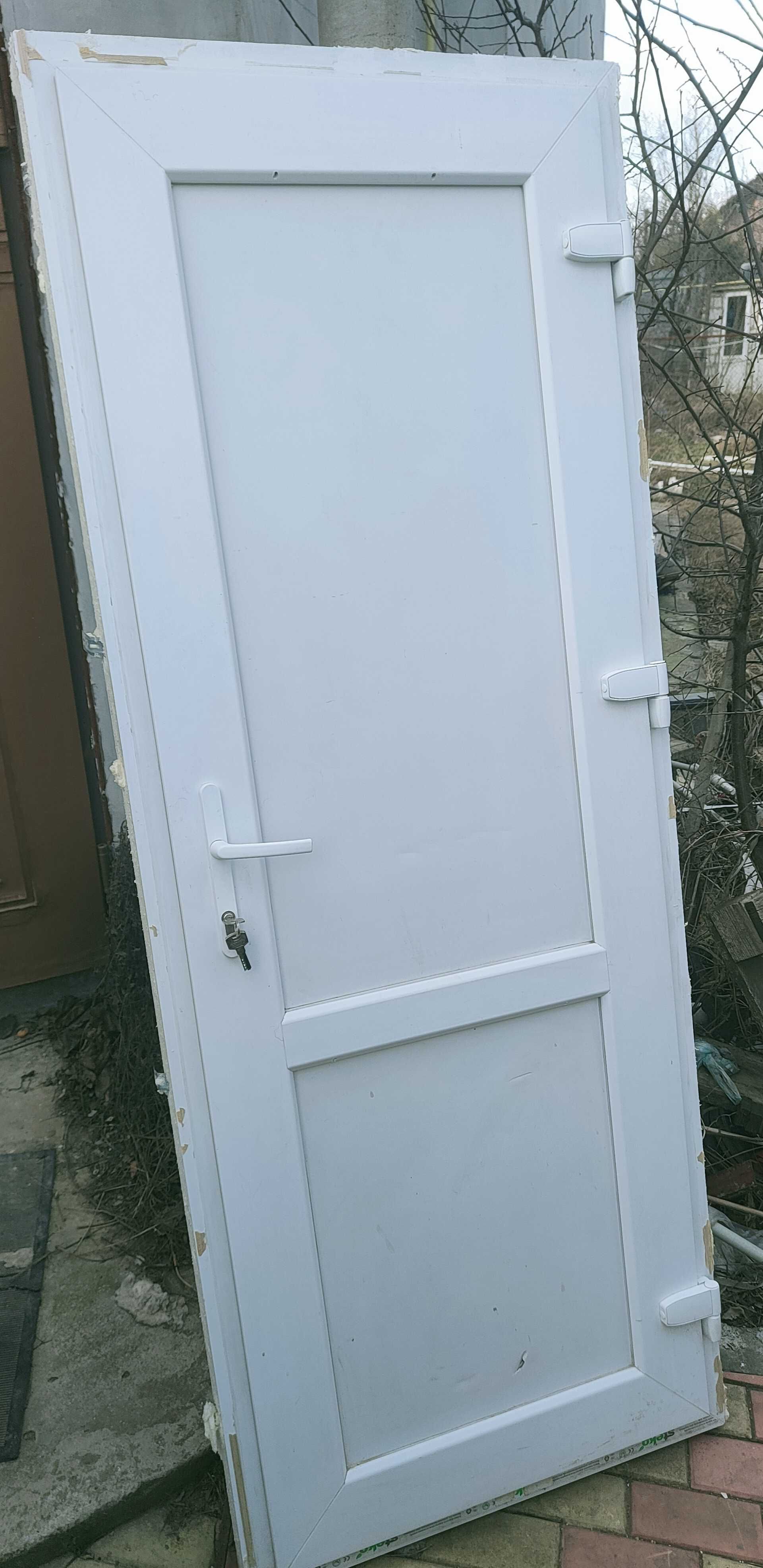 Окно металлопластиковое и дверь