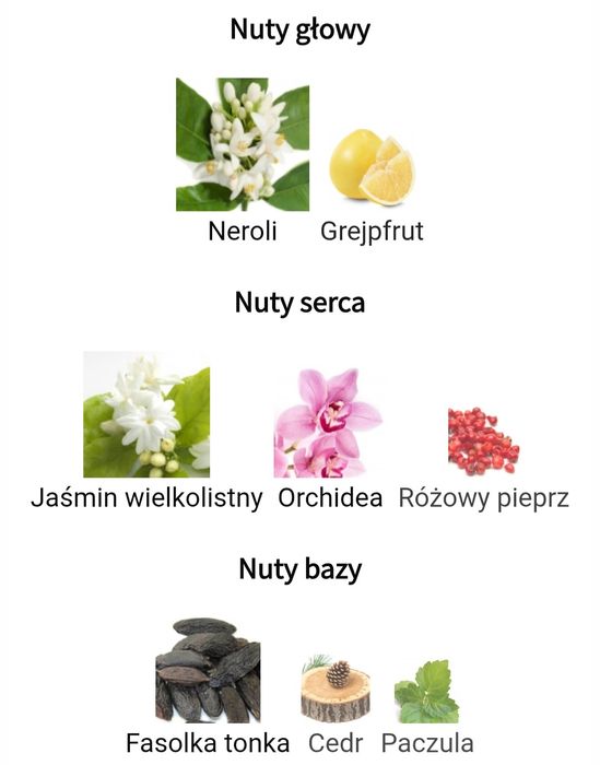 Fleu d'Orchidee Karl Lagerfeld