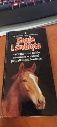 Konie i źrebięta ksiazka