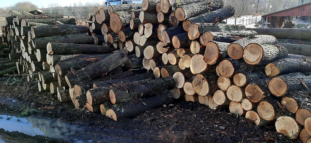 Tartak Drewno kominkowe Drzewo opałowe  deski szalunkowe kantówki