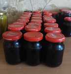 sok z czarnego bzu, słoiki po 190ml,