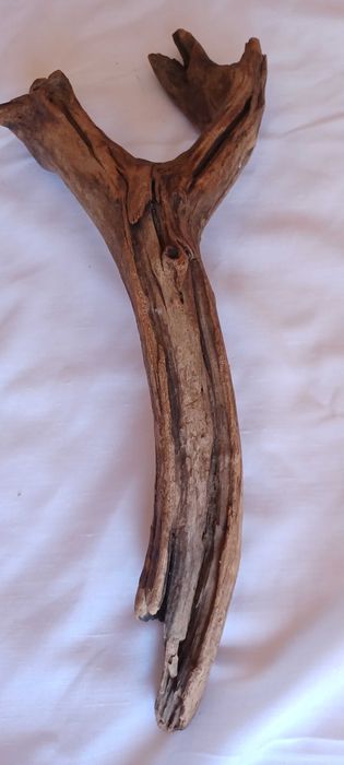 Tronco decorativo natural para terrário