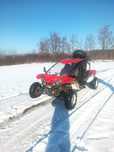 Buggy Nbluck 600
