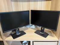 Monitor Dell P2312H 23"/FHD/5ms/USB/PIVOT/DVI-D/D-SUB/3YPPG