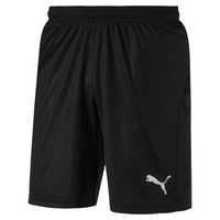 Шорти Puma LIGA Shorts Core (L)