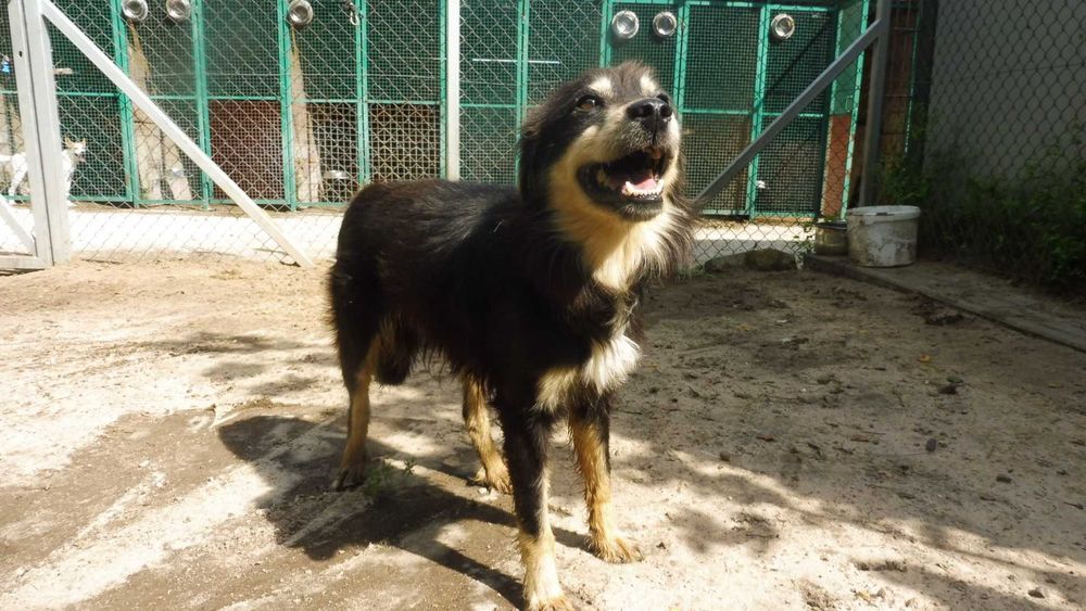 Eliot do samochodu nie wsiądzie...