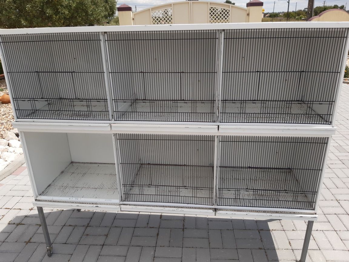 Voador/Gaiola para Aves