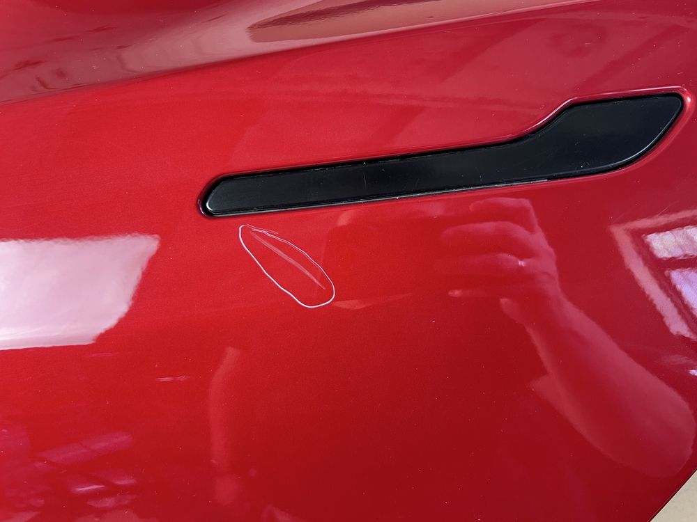 Дверь в сборе задняя левая Tesla Model 3 21- PPMR