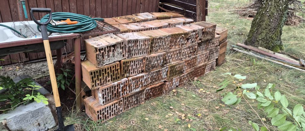 Czerwone cegły - ok. 160szt - oddam za darmo