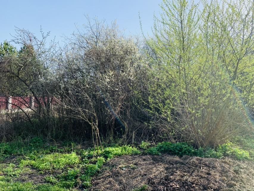 Продам 12 соток біля с.Сулимівка (дачний кооператив)