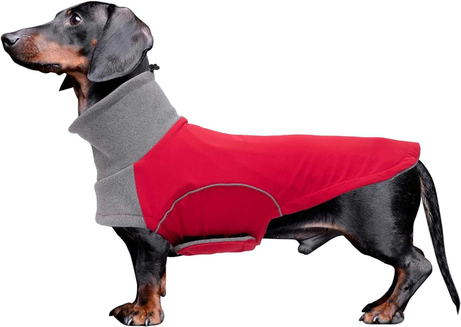 NOWY Zimowy wodoodporny płaszcz dla psa jamnika