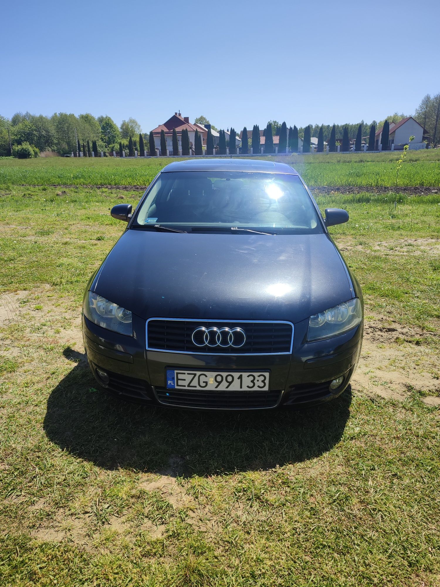 Audi A3 8P 2003 1.6 benzyna + LPG