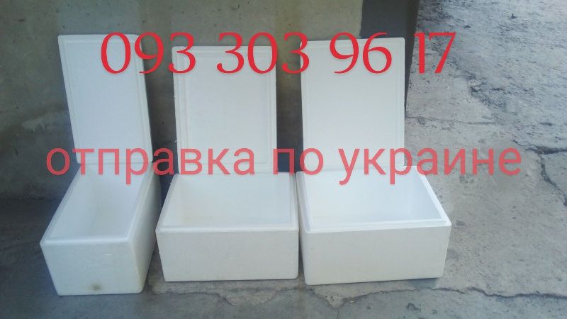 термобокс для пикника пенопластовый ящик