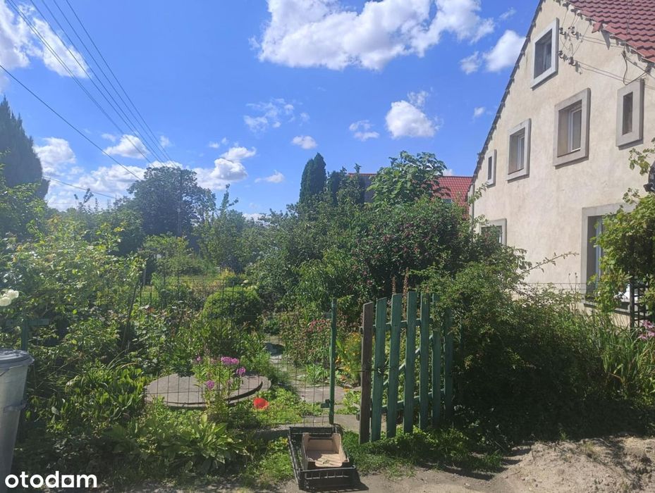 Dom z ogrodem Mościsko