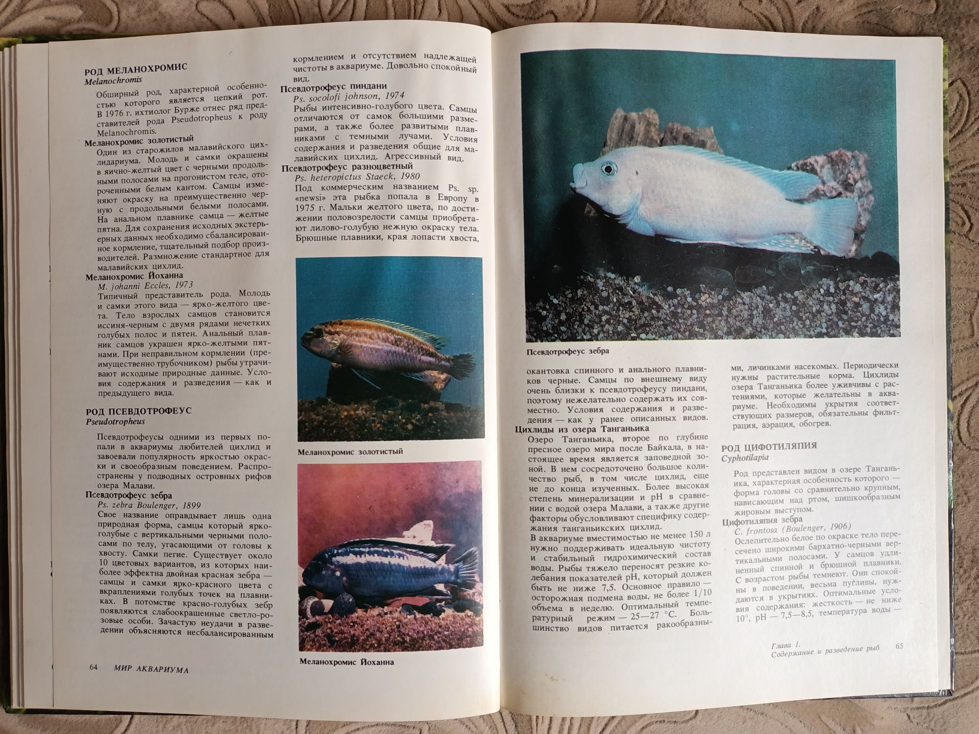 Мир аквариума Г.Ф. Романишин, В.Н. Мишин