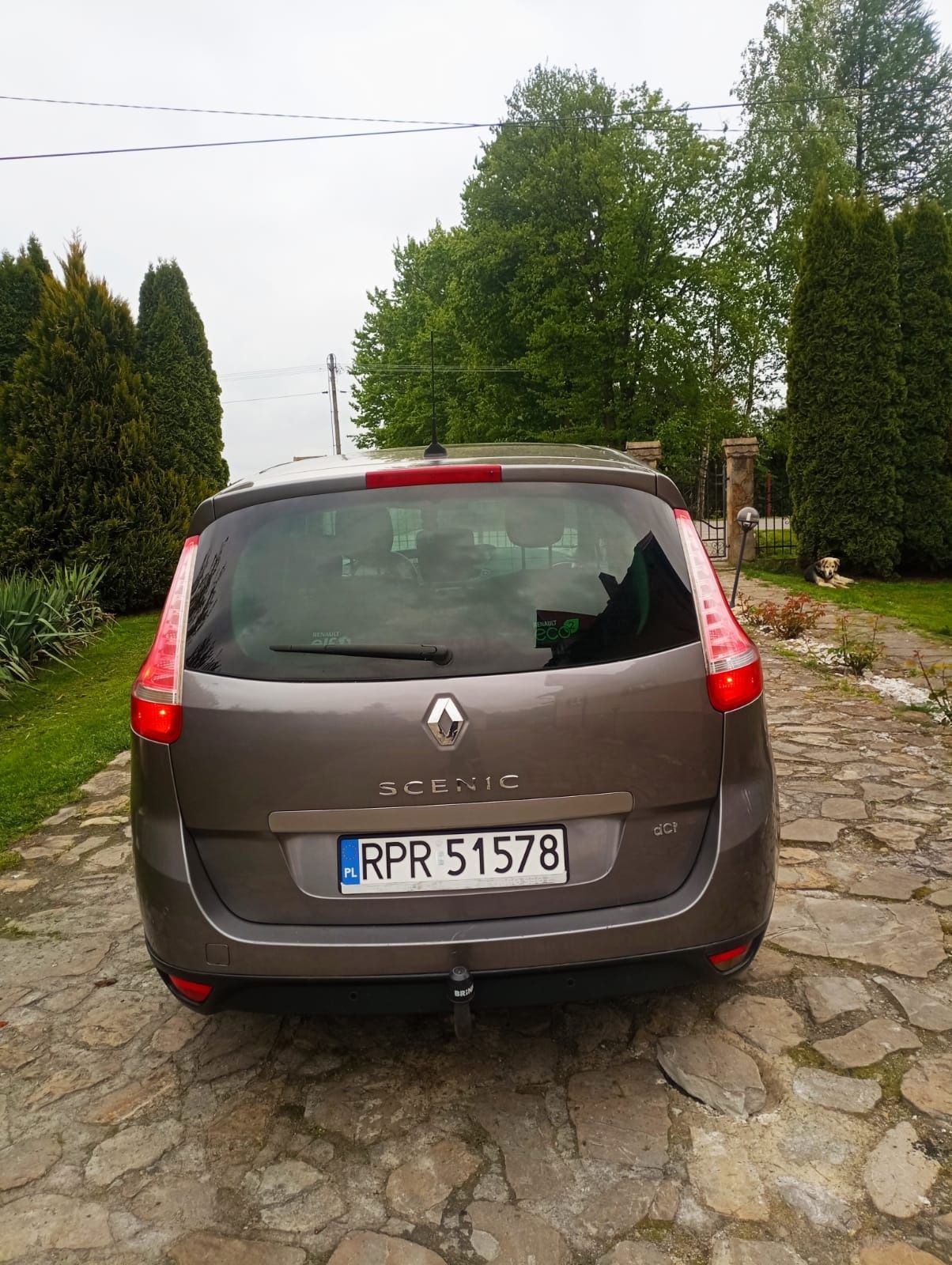 Renault Scenic wersja 7 osobowa