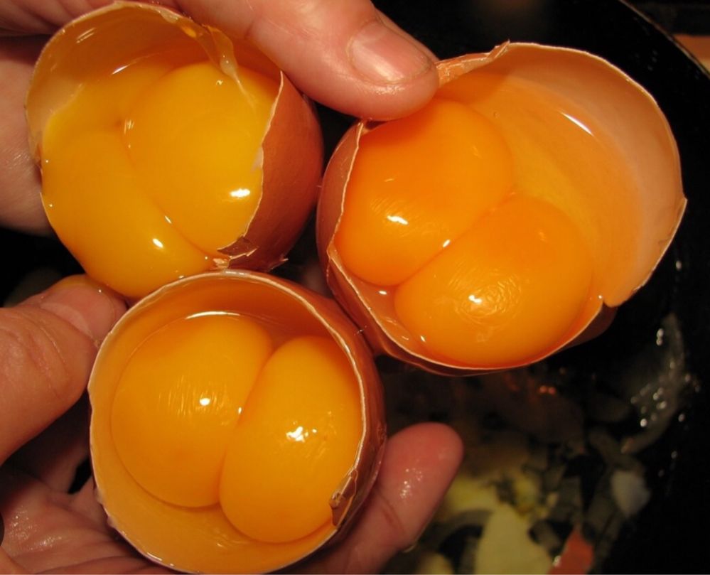 OVOS DE DUAS GEMAS