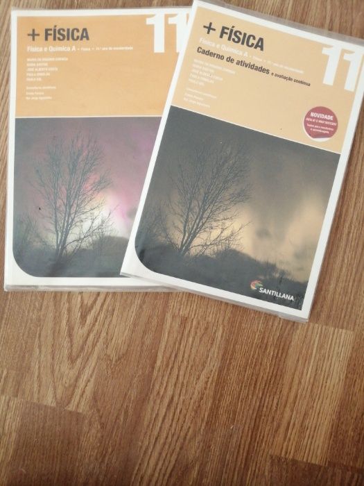 Manuais 10 e 11 ano, português, filosofia, física e química, bio...