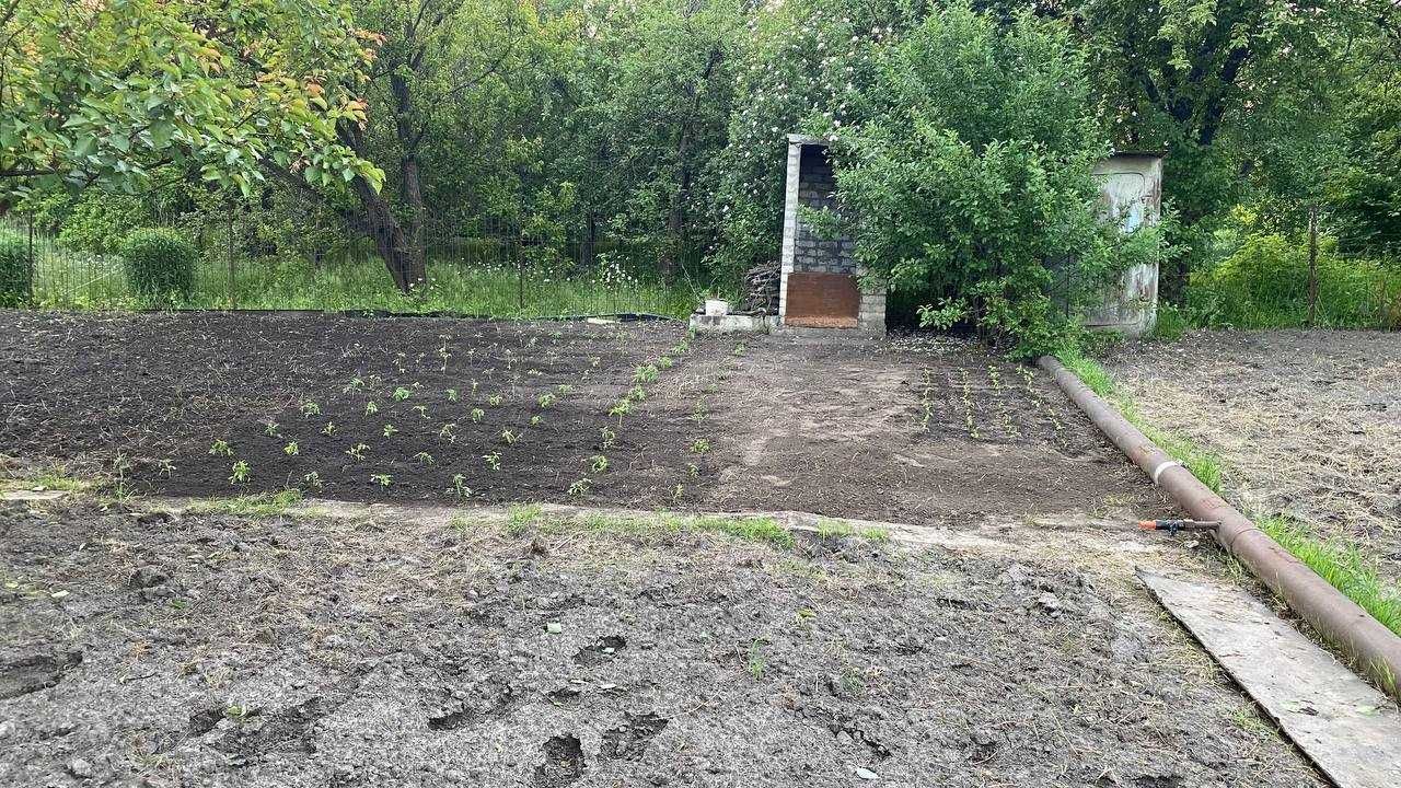 Продається дача в садовому товаристві "Ромашка