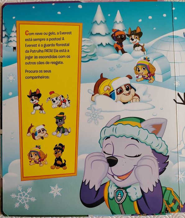 Entra Em Ação Com a Skye!