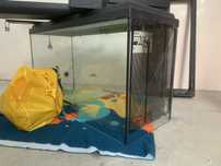 Aquario 50L com Luz