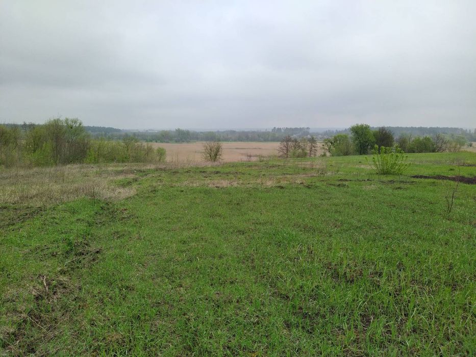 Продаж земельної ділянки