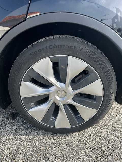 Tesla Modelo Y Tracção Traseira