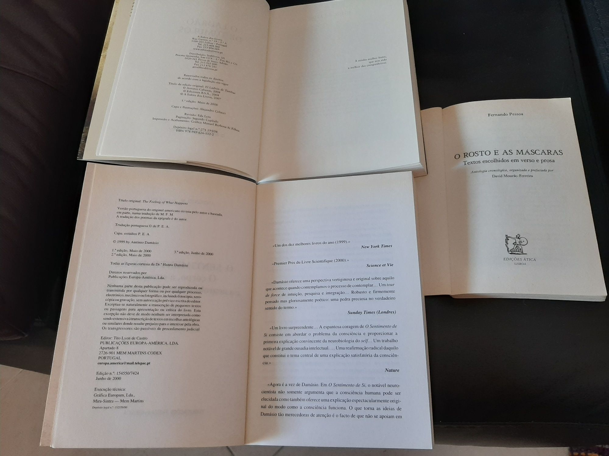 António Damásio  Cabanas sentimentos Fernando Pessoa Rosto e máscaras