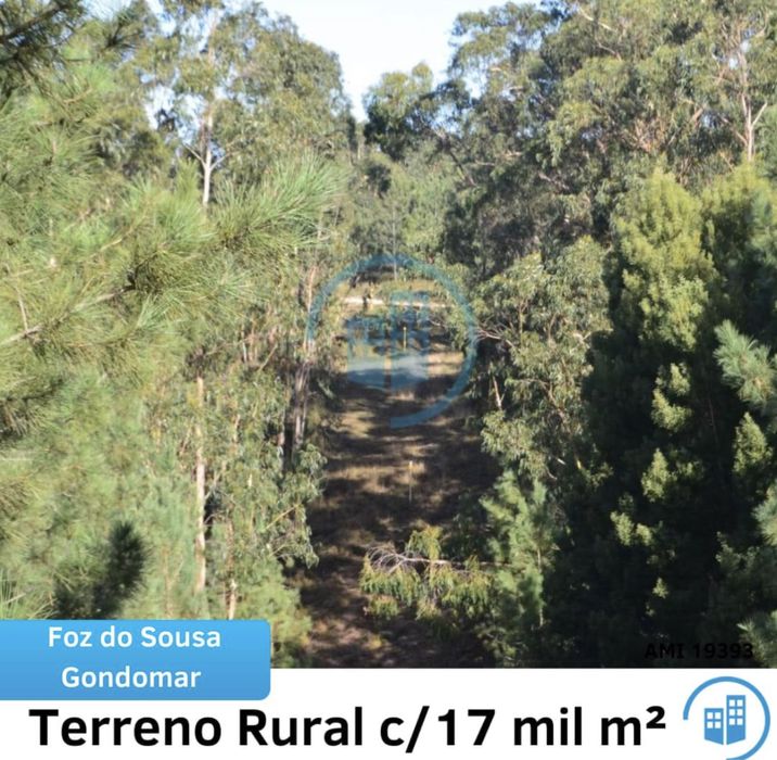 Vendo ou alugo terreno 17000m2