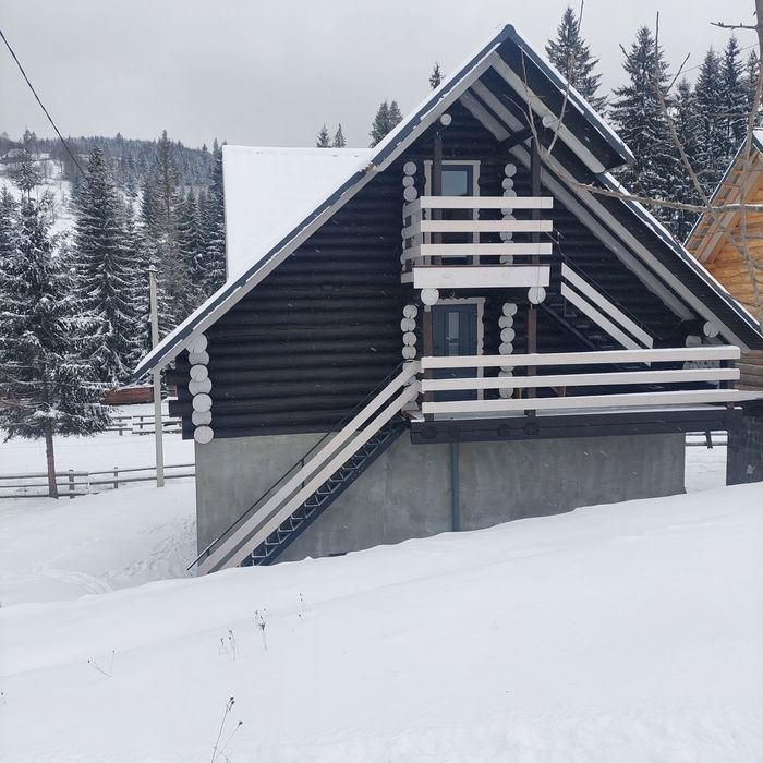 Synevyr House Житло подобово