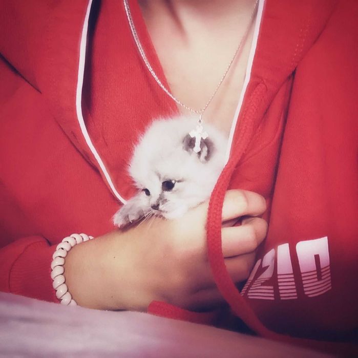 Маленькі пухнасті антистресики