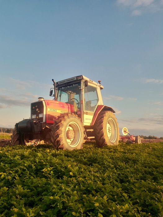 Massey ferguson 3060