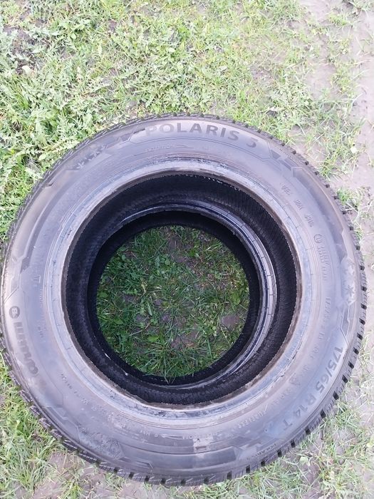 Opony zimowe Barum POLARIS 5 175/65 R14 2018