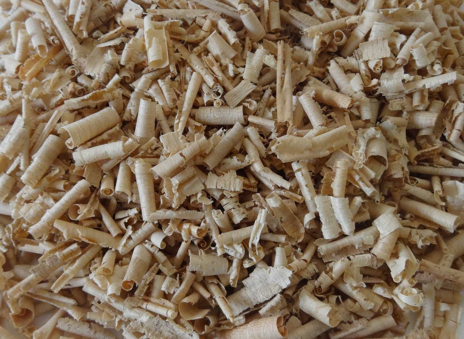 Trociny Ściółka Z Drzew Liściastych Dla Zwierząt Królików Gryzoni 5kg