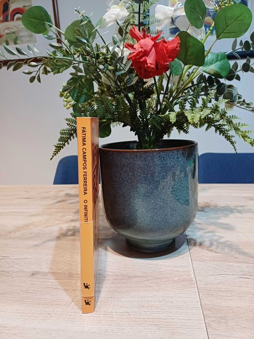 O Infinito Está nos Olhos do Outro