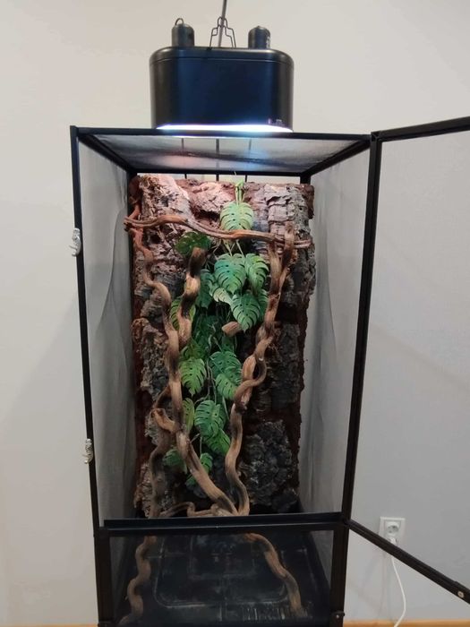 Terrarium dla kameleona siatkowe Exo Terra 45x45x90cm z wyposażeniem